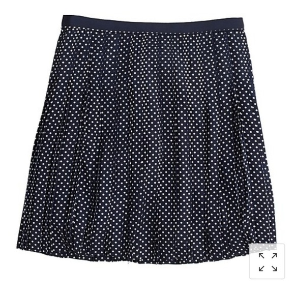 J. Crew Blue and White Polka Dot Skirt Size 4 - Picture 4 of 9